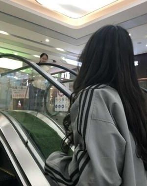 我靠宠妃系统当了秦始皇的国师小说阅读
