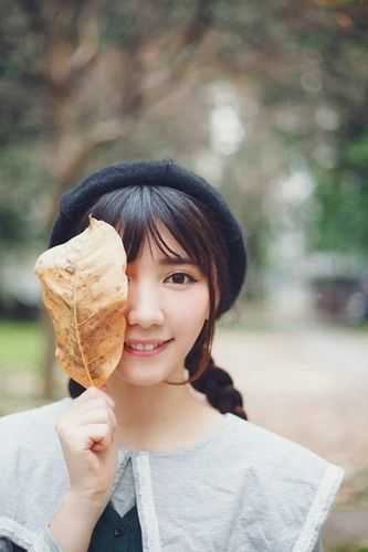 【独家】《相逢难逃别离》陆寒澈 沈秋晚小说阅读